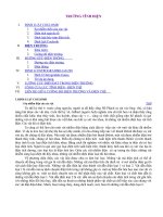 TRƯỜNG TĨNH ÐIỆN