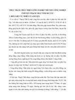 THỰC TRẠNG PHÁT TRIỂN CÔNG NGHIỆP TIỂUTHỦ CÔNG NGHIỆP Ở HUYỆN THẠCH THẤT TỈNH HÀ TÂY