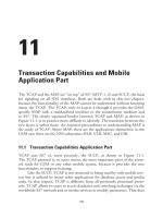 Transaction Capabilities and Mobile Application Part