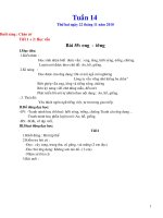 giao an tuan 14 lop 1