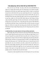 Giải pháp hạn chế nợ khó đòi tại SGDI NHCTVN