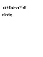 Unit 9 -reading (TA 10).ppt