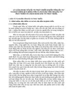 LÝ LUẬN CHUNG VỀ ĐẦU TƯ PHÁT TRIỂN NGUỒN VỐN ĐẦU TƯ VÀ HOẠT ĐỘNG HUY ĐỘNG VỐN VÀ SỬ DỤNG VỐN CHO ĐẦU TƯ PHÁT TRIỂN CỦA NGÂN HÀNG ĐẦU TƯ PHÁT TRIỂN