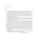 Nuôi cá trê có hiệu quả