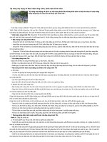 Kỹ năng xây dựng và đảm nhận công trình