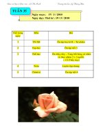 giao an lớp 3 tuần 35 thứ 4,5,6