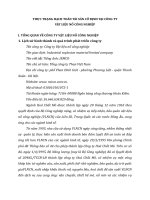 THỰC TRẠNG HẠCH TOÁN TÀI SẢN CỐ ĐỊNH TẠI CÔNG TY