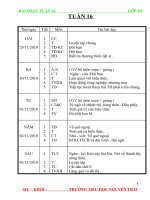 TUẦN 16 LỚP 3(HOÀN CHỈNH)