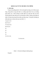 KHÁI LUẬN VỀ TỰ DO HOÁ TÀI CHÍNH