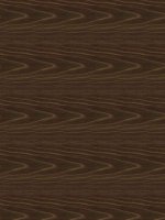 bài 10- Lực đẩy Ác si mét