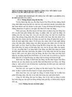 MỘT SỐ BIỆN PHÁP HOÀN THIỆN CÔNG TÁC TỔ CHỨC LAO ĐỘNG TẠI BƯU ĐIỆN HUYỆN TỦA CHÙA