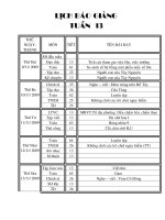 GIÁO ÁN LỚP 3 TUẦN 13