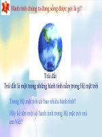 HÀNH TINH QUANH MẶT TRỜI