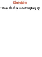 Hoạt động kinh tế của con người ở hoang mạc