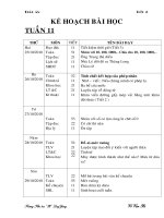 GA lớp 4-tuần 11 chuẩn KTKN 2010-2011