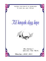 KHDH môn Sinh 8 ( theo chuẩn KT- KN )