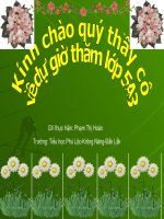 Đạo đức TÌNH BẠN(Tiết 1) 2010