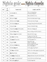 Nghĩa đen - nghĩa bóng