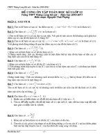 Đề cương ôn tập toán 12 2010-2011