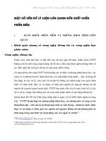 một số vấn đề lý luận liên quan đến xuất khẩu phần mềm