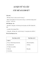 LUYỆN TỪ VÀ CÂU - CÂU KỂ AI LÀM GÌ ?