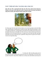 PHÁT TRIỂN MÔ HÌNH THƯƠNG HIỆU CẢM XÚC