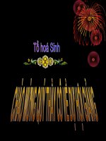 bai 17: tim va mach mau