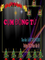 CUM DONG TU