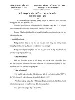 Kế hoạch bồi dưỡng chuyên môn năm học 2010-2011