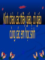 Tiết 18 - Đường thẳng song song với một đường thẳng cho trước