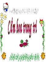 CẮM HOA TRANG TRÍ