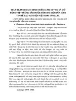 THỰC TRẠNG HOẠCH ĐỊNH CHIẾN LƯỢC DUY TRÌ VÀ MỞ RỘNG THỊ TRƯỜNG SẢN PHẨM ĐỘNG CƠ ĐIỆN CỦA CÔNG TY CHẾ TẠO MÁY ĐIỆN VIỆT NAM