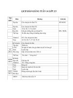 GIAO AN LOP2 TUAN 13