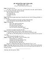 Đề thi bồi dưỡng học sinh giỏi TV lớp 5