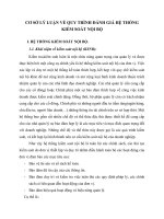 CƠ SỞ LÝ LUẬN VỀ QUY TRÌNH ĐÁNH GIÁ HỆ THỐNG KIỂM SOÁT NỘI BỘ