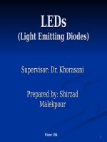 LEDs_ Light Emmitting Diodes