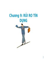 Bài giảng các loại rủi ro trong tín dụng và cách xử lý