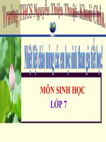 Tiet 20: Mot so than mem khac