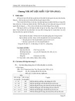 Dữ liệu kiểu tập tin