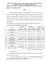 PHÂN TÍCH THỰC TRẠNG TÀI CHÍNH CỦA CÔNG TY CỔ PHẦN CẢNG ĐOẠN XÁ