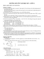 Ôn tập học kỳ 1 hóa 11