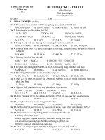 de thi HKI lop 11-hoa hoc