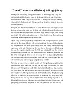 Che dù cho xoài để bảo vệ trái nghịch vụ