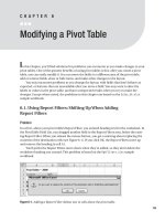 Modifying a Pivot Table