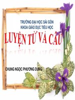 LT&C- LỚP 4