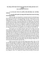 Xây dựng chiến lược kinh doanh mở rộng thị trường nội địa cho Xí nghiệp