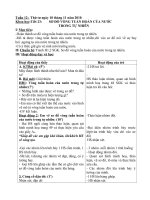 giao an khoa -su dia lớp 4 - tuan 12