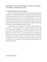 GIỚI THIỆU SƠ LƯỢC VỀ HOẠT ĐỘNG CỦA CÔNG TY CHO THUÊ TÀI CHÍNH II