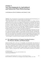 New Developments in Agricultural and Industrial Plant Biotechnology