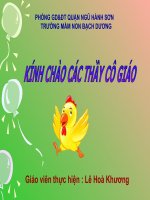 giáo án chú gà dẽ thương